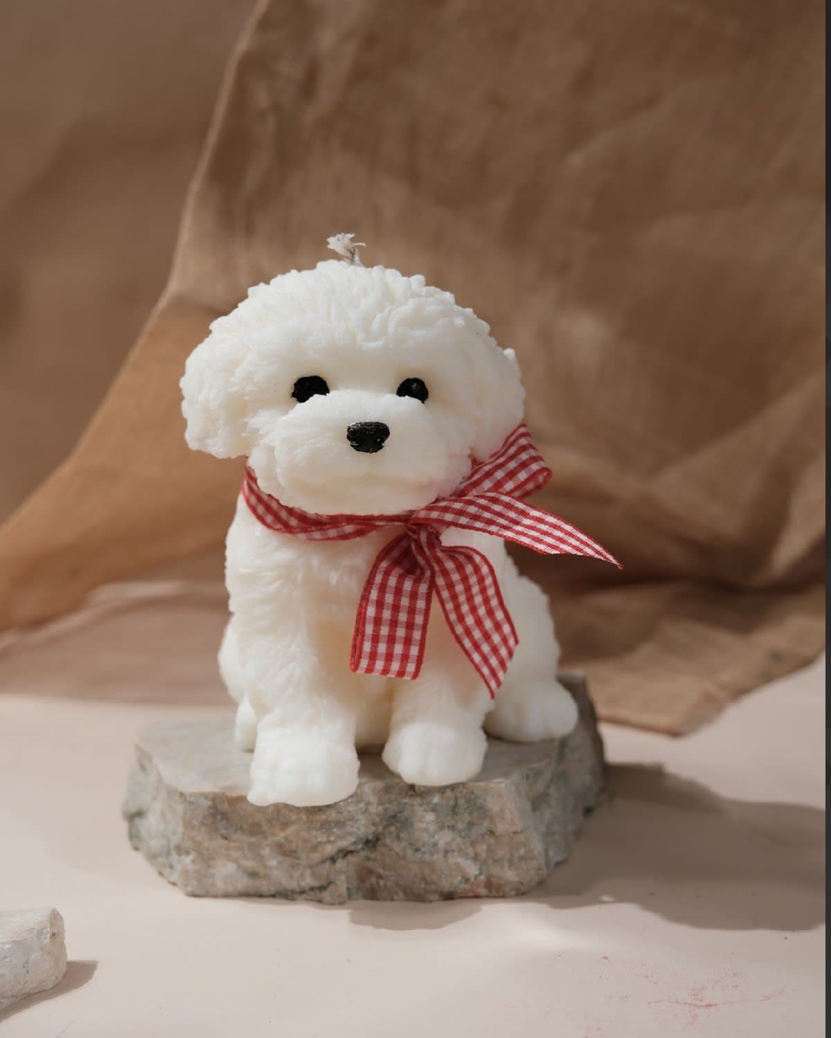 Poodle puppy